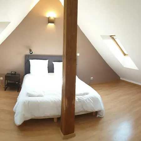Διαμέρισμα Triplex Proche Hyper Centre Κολμάρ